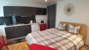 Beau studio avec terrasse et vue EXCLUSIVEMENT POUR NON FUMEURS